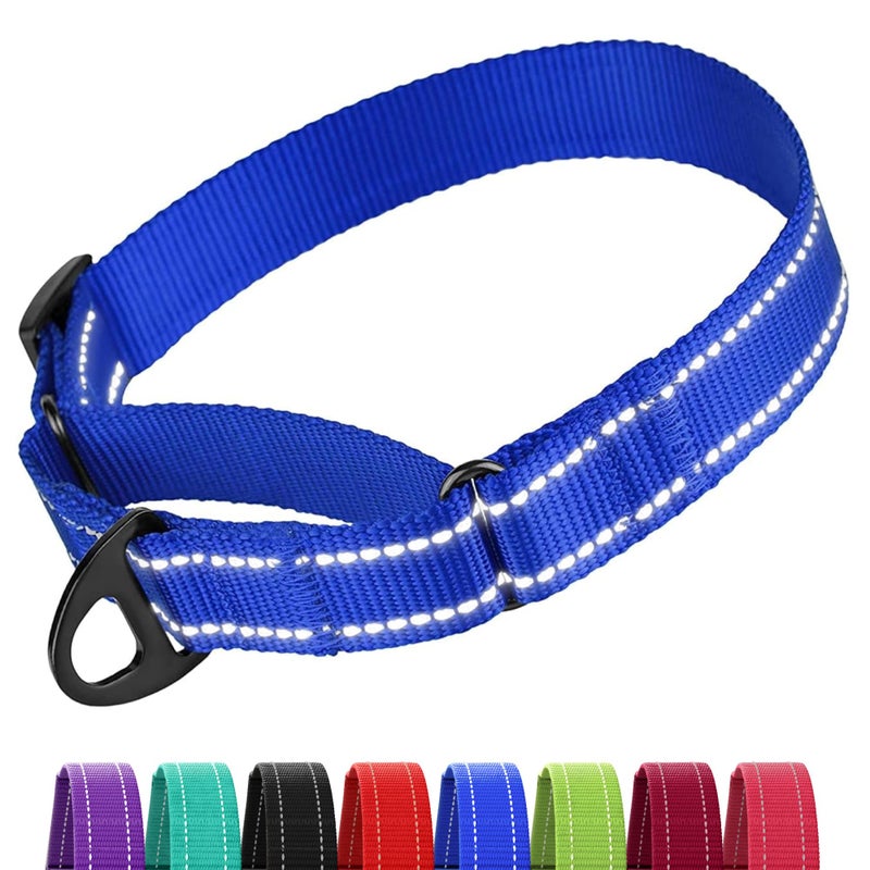 Collardirect Reflective Martingale Dog Collar Nylon Training Collars for Small Medium Large Dogs Puppy Pink Orange Green (S, Neck Size 11"-15", Blue) - Image 1